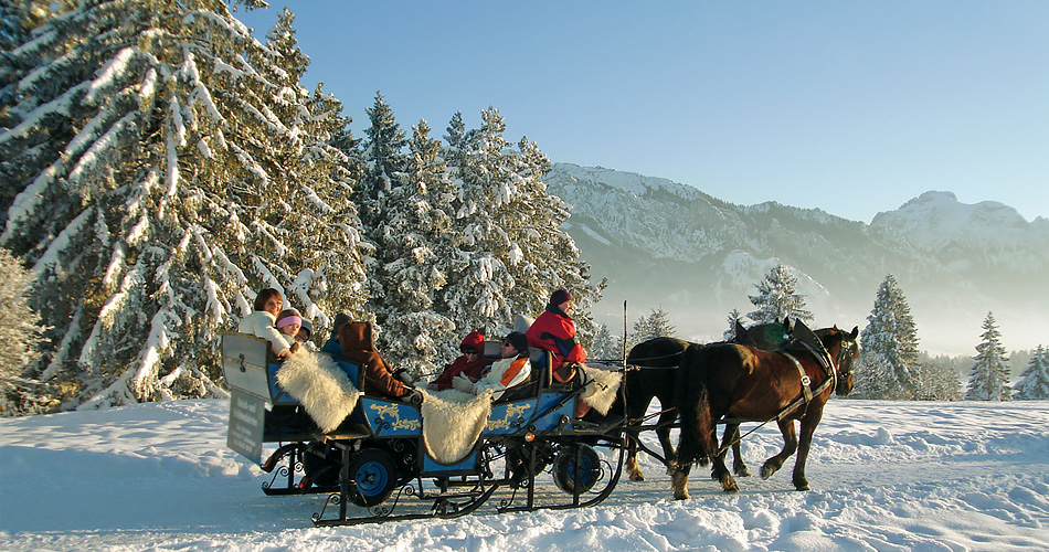Pferdeschlittenfahrten und Reiten im Winterwonderland